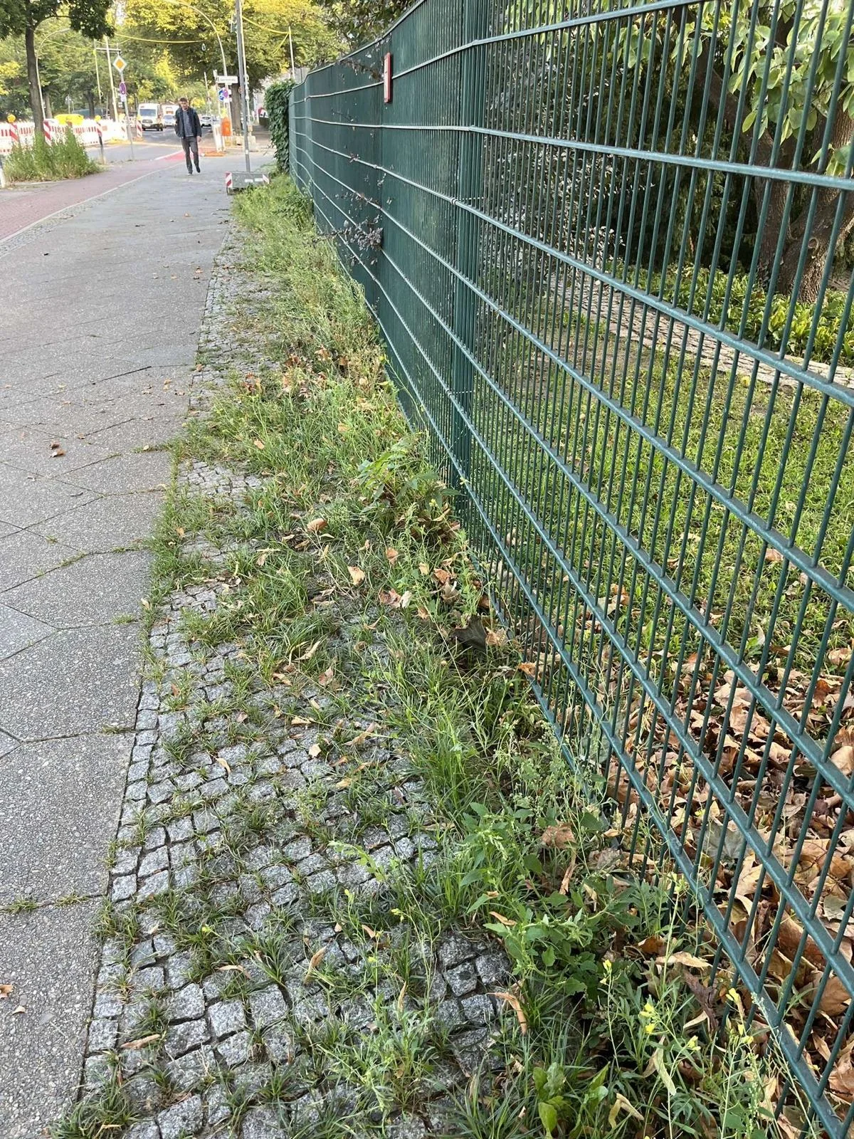 Vorher: Bewuchs entlang des Gartenzauns