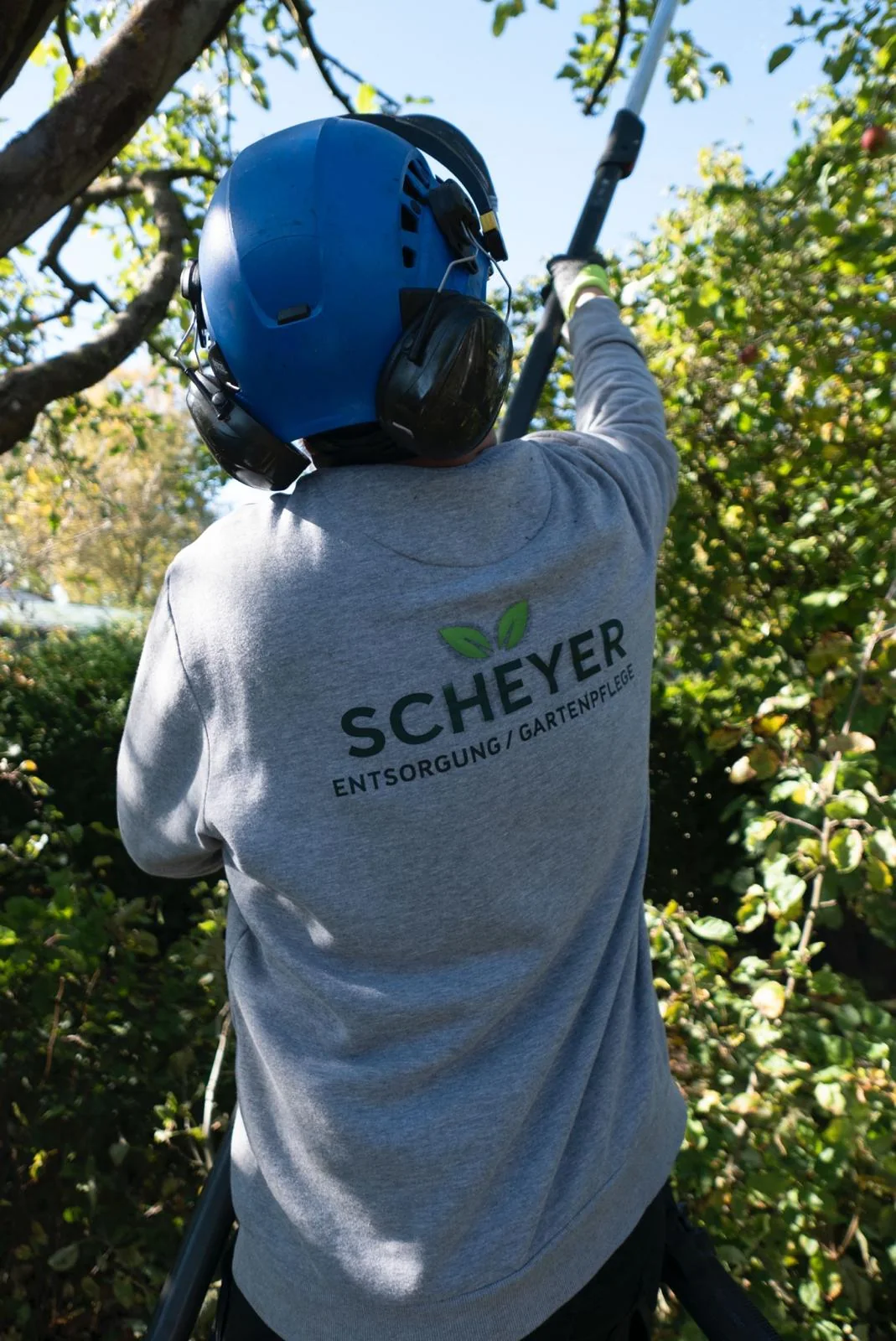Scheyer Gartenpflege bei der Arbeit im Baum