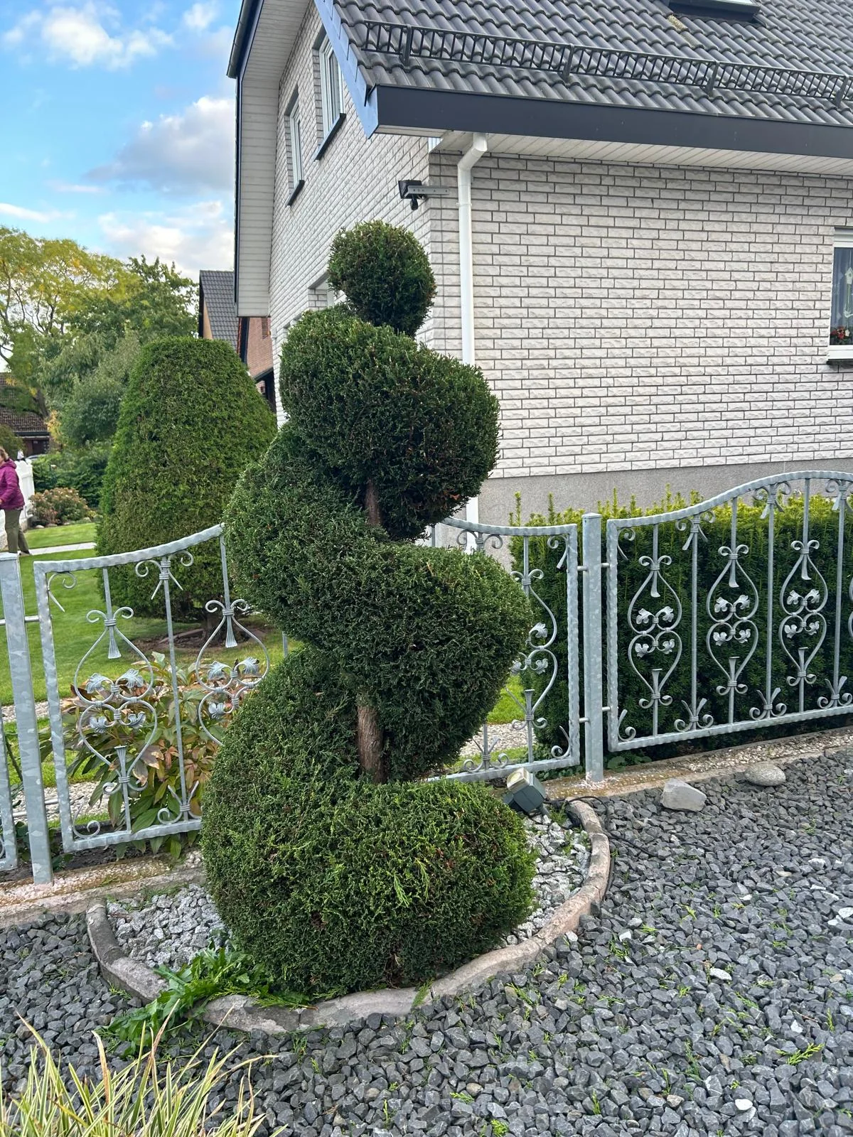 Spiralförmig geschnittener Baum im Vorgarten